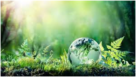 Sustainability claims: Cargill highlights rising importance of sustainable palm  oil on the back of Malaysian investment